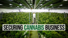 Reviewing the Security Systems in a Cannabis Warehouse and Laboratory